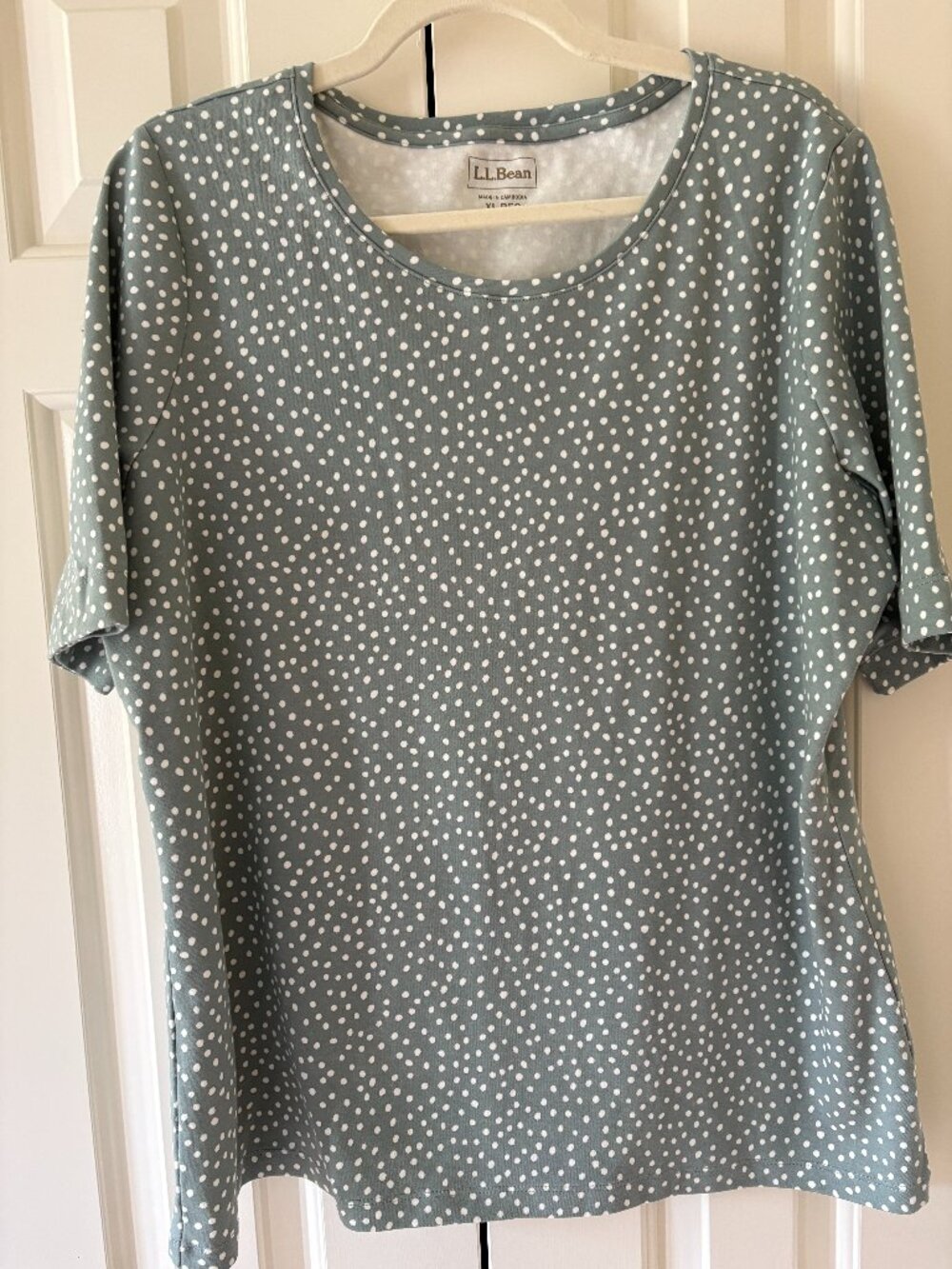 NWOT L.L. Bean Women's  Jewelneck Tee, Elbow-Sleeve Sage Dot  Print  Sz XL
